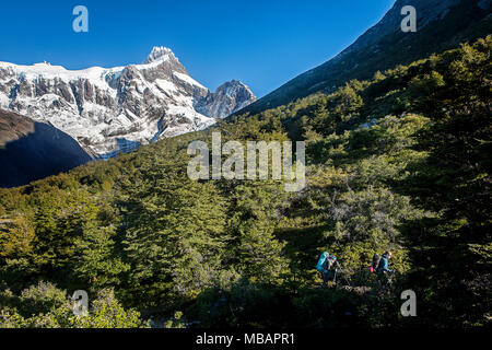 Wanderer Wandern im Valle Francés, Torres del Paine Nationalpark, Patagonien, Chile Stockfoto