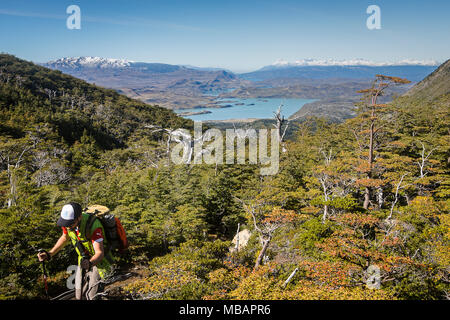 Wanderer Wandern im Valle Francés, in der Nähe von Mirador Francés, Torres del Paine Nationalpark, Patagonien, Chile Stockfoto