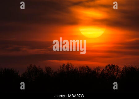 Sonnenuntergang, im Osten der USA, Frühling, von Bruce Montagne/Dembinsky Foto Assoc Stockfoto