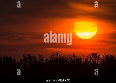 Sonnenuntergang, im Osten der USA, Frühling, von Bruce Montagne/Dembinsky Foto Assoc Stockfoto