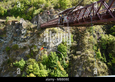 Bungy Jumping am berühmten AJ Hackett, Kawarau Brücke, Otago, Neuseeland Stockfoto