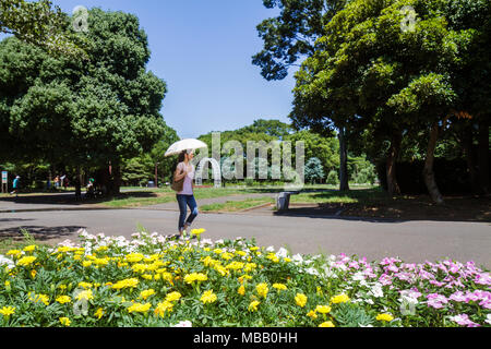 Tokio Japan, Asien, Orient, Harajuku, Yoyogi Koen Park, Asiaten Ethnische Einwanderer Minderheit, Orientalische, Frau Frauen weibliche Dame Erwachsene Erwachsene, zu Fuß Stockfoto