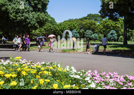 Tokio Japan, Asien, Orient, Harajuku, Yoyogi Koen Park, Asiaten Ethnische Immigranten Minderheit, Oriental, Frau Frauen weiblich Dame Erwachsene Erwachsene, Mann Stockfoto