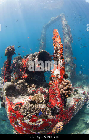 Werft Tauchplatz in Lhaviyani Atoll Stockfoto