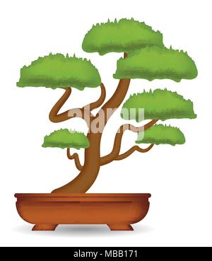 Bonsai Baum auf einem weißen Hintergrund Vektor Stock Vektor