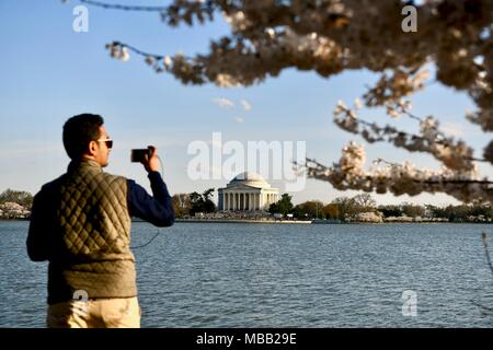 Jefferson Memorial in der Nähe der Tidal Basin während der Spitze Blüte der Kirschblüten in Washington DC Stockfoto