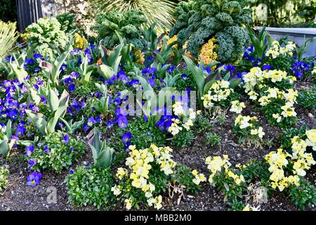 Kleinen Blumengarten in Washington DC, USA Stockfoto