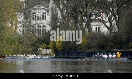 10 April 2018, Deutschland, Hamburg: Eine Gruppe von Schwäne schwimmen auf der Alster, nachdem Sie den Winter an der "Eppendorfer Mühlenteich' Teich verbracht. Foto: Axel Heimken/dpa Stockfoto