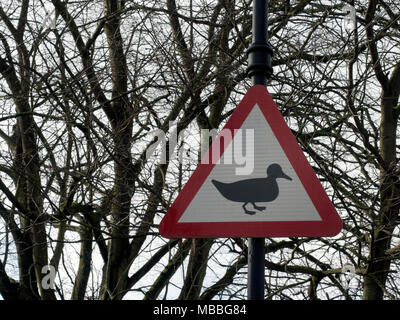 Straßenverkehrsschild Warnung Autofahrer von Enten Kreuzung Straße, England, Untied Kingdom Stockfoto