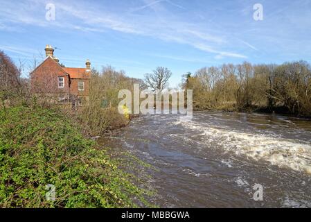 Der Fluss Wey in der Flut an Walsham wehr Ripley Surrey England Großbritannien Stockfoto