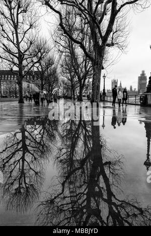 Schwarz und Weiß, monochrom, imageThe London Eye und Bäume am Südufer der Themse in London, England, in Pools von Regenwasser wider. Stockfoto