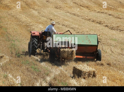 Ein Landwirt Pressen von Stroh auf der Halbinsel Karpass, Nordzypern. Stockfoto