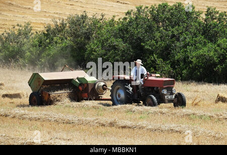 Ein Landwirt Pressen von Stroh auf der Halbinsel Karpass, Nordzypern. Stockfoto