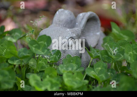 Stone bunny Chillin' im Garten Stockfoto