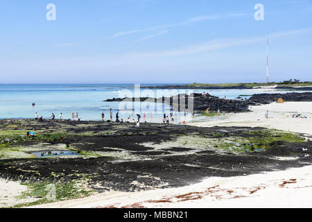 Jeju, Korea - 22. Mai 2017: gimnyeong Seongsegi Strand in Gujwa - eup. Im Nordosten der Insel Jeju entfernt. Der Strand ist bekannt für seine feinen weißen s Stockfoto