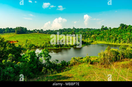 Teich und grünes Gras Feld für wild lebende Tiere und Landschaft Straße auf dem Hügel in der Nähe des dichten Bäumen in den tropischen Wald mit schönen blauen Himmel und c Stockfoto