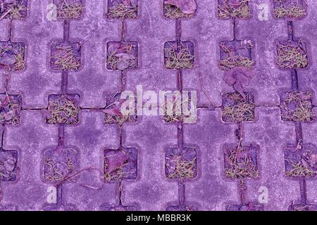 Ballet slipper Stone Blocks weg im Park mit grünem Gras Hintergrund. Stockfoto