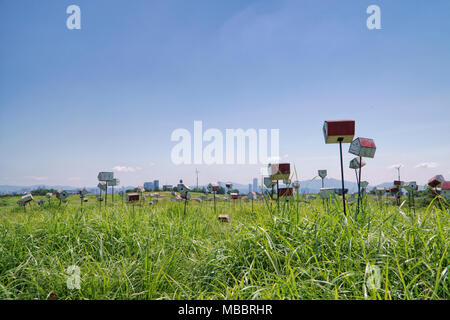 SEOUL, Südkorea - 30. AUGUST 2014: Blick auf Haneul Park, im WM-Stadion entfernt. Stockfoto