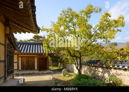 YEONGJU, KOREA - Oktober 15, 2014: Landschaft der allgemeinen Koreanisch traditionelles Haus mit jujube Baum in Seonbichon. Stockfoto