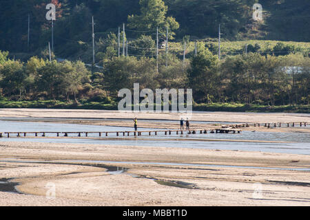 YEONGJU, KOREA - Oktober 15, 2014: Menschen auf eine einspurige Brücke in Museom Dorf anmelden. Museom ist berühmt für die einspurige Brücke in Korea. Stockfoto