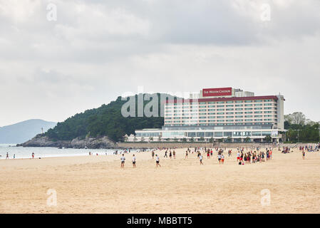 Busan, Korea - September 19, 2015: The Westin Chosun Busan ist ein Hotel am Eingang der Insel Dongbaek in Busan. Und es war eine der 800-1050 Stockfoto