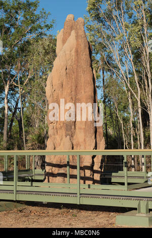 Eine Kathedrale Termite Damm in Litchfield National Park, Northern Territory, Australien. Stockfoto