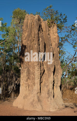 Eine Kathedrale Termite Damm in Litchfield National Park, Northern Territory, Australien. Stockfoto