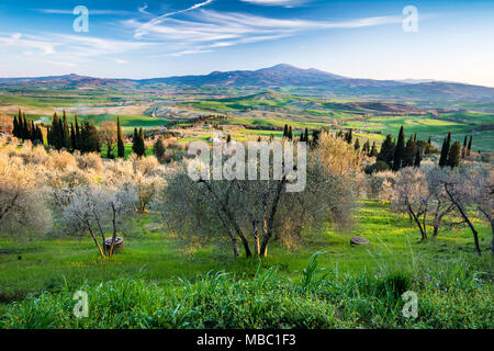 Blick von Pienza in der Toskana über das Val d'Orcia Stockfoto