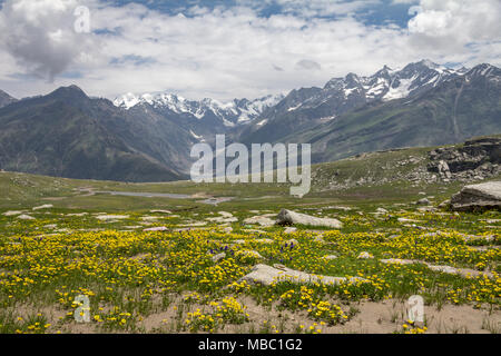 Nördlich von Manali, Rothang Pass ist das erste High pass auf dem Weg nach Leh. Vor Regen, Wind ist es oft neblig, aber, zu Beginn der Regenzeit, Blumen blühen Stockfoto