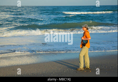 Strand Wanderer, Hobe Sound National Wildlife Refuge, Florida Stockfoto