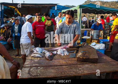 Puerto Lopez, Ecuador, 30. Juni 2015: Fischer am Strand von Puerto Lopez, Reinigung Frischer Fisch zum Verkauf, in den frühen Morgenstunden. Stockfoto