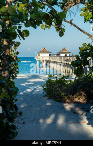 Früh morgens am Naples Pier entlang der Florida Gulf Coast, Naples, Florida, USA Stockfoto