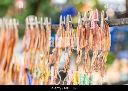 Getrockneten Tintenfisch, traditionelle squids Trocknung unter der Sonne in einem idyllischen Fischerdorf, Thailand Stockfoto