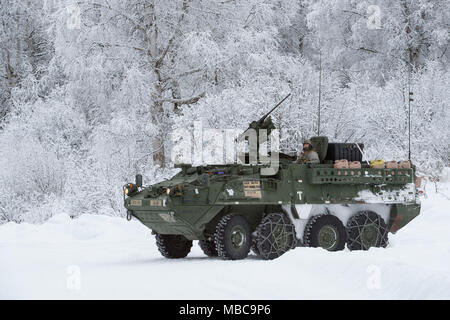 Soldaten zu Bajonett Unternehmen, 1.BATAILLON, 5 Infanterie Regiment, 1 Stryker Brigade Combat Team, 25 Infanterie Division, U.S. Army Alaska zugeordnet, für Live-fire Schießwesen Ausbildung im Betrieb Punchbowl bei Joint Base Elmendorf-Richardson, Alaska, Feb 16, 2018 vorbereiten. Betrieb der Punchbowl war ein Bataillon, kombinierte Waffen, Feuer, die auf Arktis Letalität konzentriert. (U.S. Air Force Stockfoto