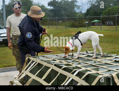 Ein US-Landwirtschaftsministerium Brown tree snake Detektor Hund schnüffelt an eine Ladung während der Übung bewältigen Nord 2018 Rota, US-Commonwealth der Nördlichen Marianen, 24.02.17. Eine jährliche Übung in diesem Jahr bewältigen Nord ist eine multilaterale HA-/DR-Übung, teilnehmenden Nationen für vorzubereiten und von den verheerenden Auswirkungen von Naturkatastrophen erholen. (U.S. Air Force Stockfoto