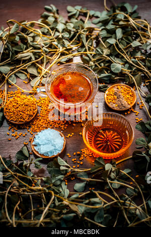 Nahaufnahme von bockshornklee Tee mit Honig, Zitrone, Zucker und Bockshornkleesamen auf einer hölzernen Oberfläche in dunklen Gothic Farben. Es hilft, Menstruationsbeschwerden zu beruhigen. Stockfoto