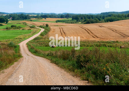 Landwirtschaftlichen Flächen, lange Straße in gepflügten Feldes, unbefestigte Straße in der Mitte des Feldes Stockfoto