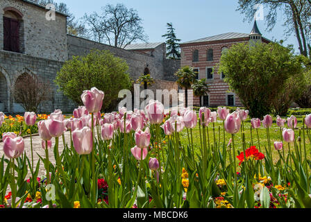 Istanbul, Türkei, 12. April 2007: Tulpen, Topkapi Palace Stockfoto