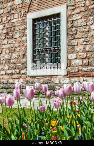 Istanbul, Türkei, 12. April 2007: Tulpen, Topkapi Palace Stockfoto