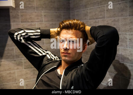 Wachsfigur von David Beckham soccer Player in Madame Tussauds Wax Museum in Amsterdam, Niederlande Stockfoto