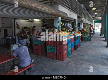 Obst und Gemüse Stände auf dem lokalen Markt in Progreso, Yucatan, Mexiko Stockfoto