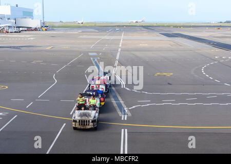 Das Bodenpersonal der Fahrt Gepäckbeförderung Karren auf der Rollbahn am Flughafen Sydney, Australien Stockfoto