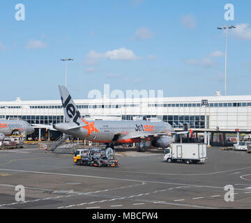Tanken Lkw- und Gate Gourmet Catering Truck auf dem Rollfeld in der Nähe eines Jetstar Airbus A320 am Flughafen Sydney, Domestic Terminal, Australien Stockfoto