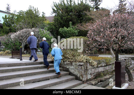 Die novizen oder Mönche um 'Engakuji Zen Tempel'. In der Nähe von Kita-Kamakura station. In Kamakura, Japan - Februar 2018 berücksichtigt. Stockfoto