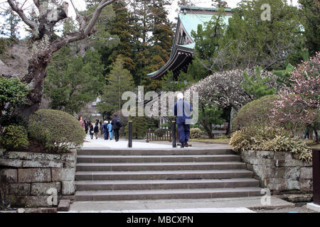 Die novizen oder Mönche um 'Engakuji Zen Tempel'. In der Nähe von Kita-Kamakura station. In Kamakura, Japan - Februar 2018 berücksichtigt. Stockfoto