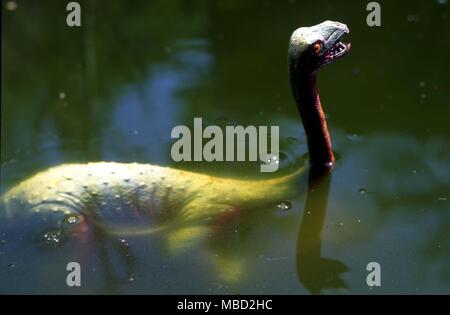 Modell des Ungeheuers von Loch Ness - Nessie - von AUTHENTIFIZIERTEN Sichtungen gebaut. Stockfoto