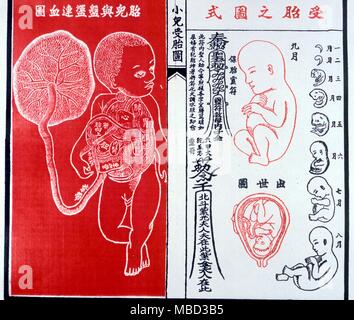 Physiognomie. Chinesische Drucken zeigt die Phasen der embryonalen Entwicklung im Mutterleib. Von einer chinesischen Jahreskalender Handbuch. Stockfoto