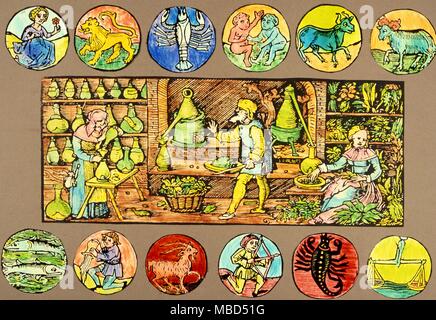 Pflanzliche, Zodiac und Kräuter, die 12 Bilder der Tierkreiszeichen rund um das Bild einer mittelalterlichen Kräuter Apotheke, nach J. Wonnecke's "Kreuterbuch", 1550 Stockfoto