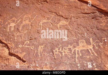 Petroglyphen kamel Figuren Gemälde auf der Steinmauer, Wadi Rum Wüste, Jordanien Stockfoto