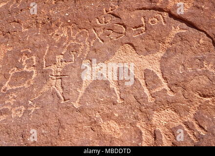 Petroglyphen kamel Figuren Gemälde auf der Steinmauer, Wadi Rum Wüste, Jordanien Stockfoto